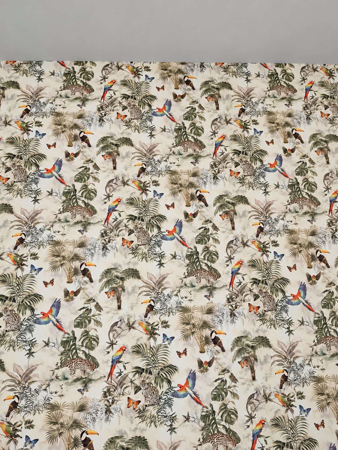 Mur recouvert d'un papier peint à motif de jungle avec perroquets colorés, toucans, papillons, palmiers et léopards, surmonté d'un mur gris uni.